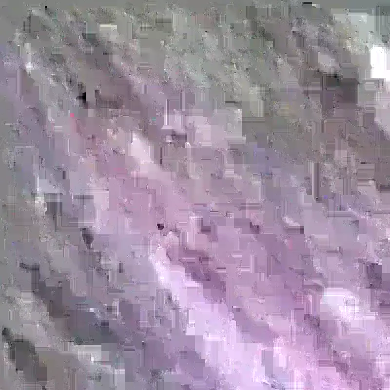 Splashybag Lj slika 2